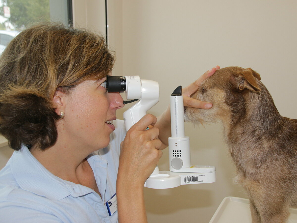 Dr. Barbara Braus bei der Untersuchung eines Augenpatienten
