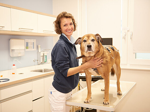 Hier ist Dr. Julia Gedon zu sehen, die einen hellen Hund auf einem Behandlungstisch streichelt und untersucht.