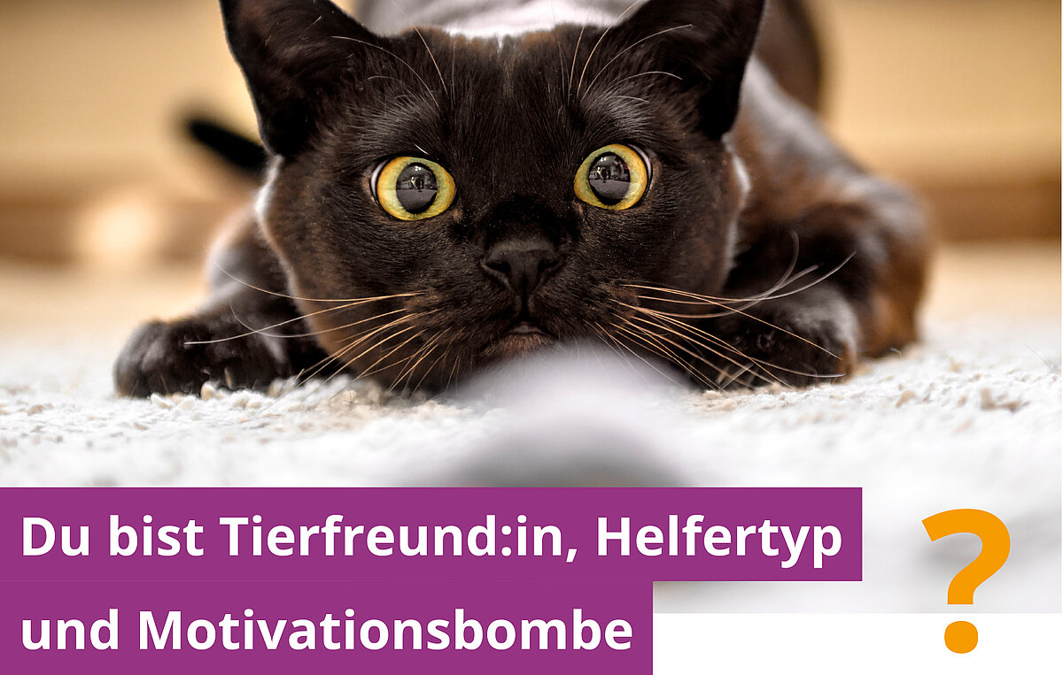 Du bist Tierfreund:in, Helfertyp und Motivationsbombe? Du bist Tierfreund:in, Helfertyp und Motivationsbombe?