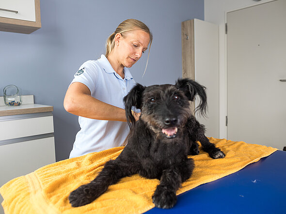 Physiotherapie als wichtige Säule in der Schmerzbehandlung