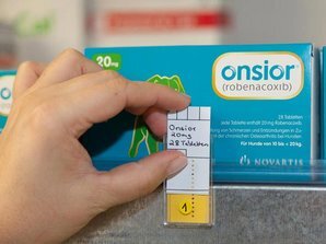 Analgetisch wirksame Medikamente als wichtiges Standbein der Schmerztherapie