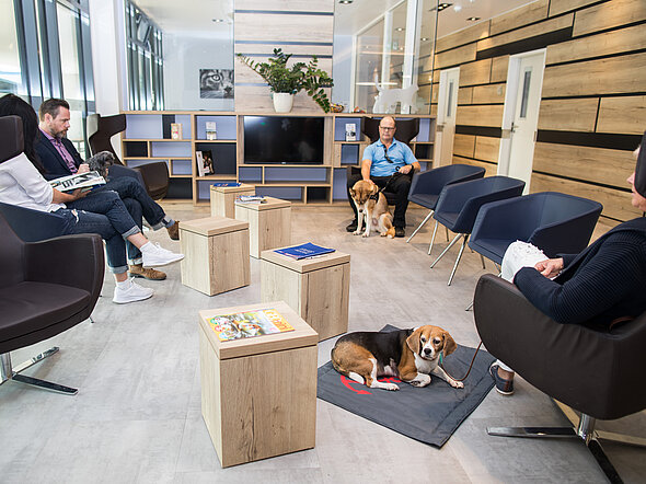 Hier sieht man den offenen Wartebereich für Hunde in der Nähe der Anmeldung. Drei Besitzer sitzen dort mit ihren Hunden und warten auf ihren Termin. 