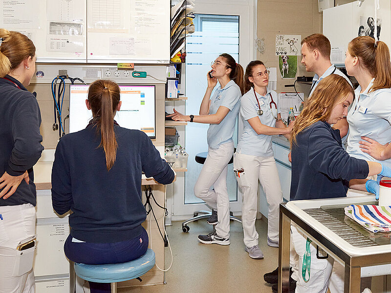 Auf diesem Bild sieht man eine Gruppe aus 7 Tierärzt:innen und Tiermedizinischen Fachangestellten, die in einem Raum der Tierklinik miteinander sprechen, am Computer sitzen, telefonieren oder Behandlungen vorbereiten.