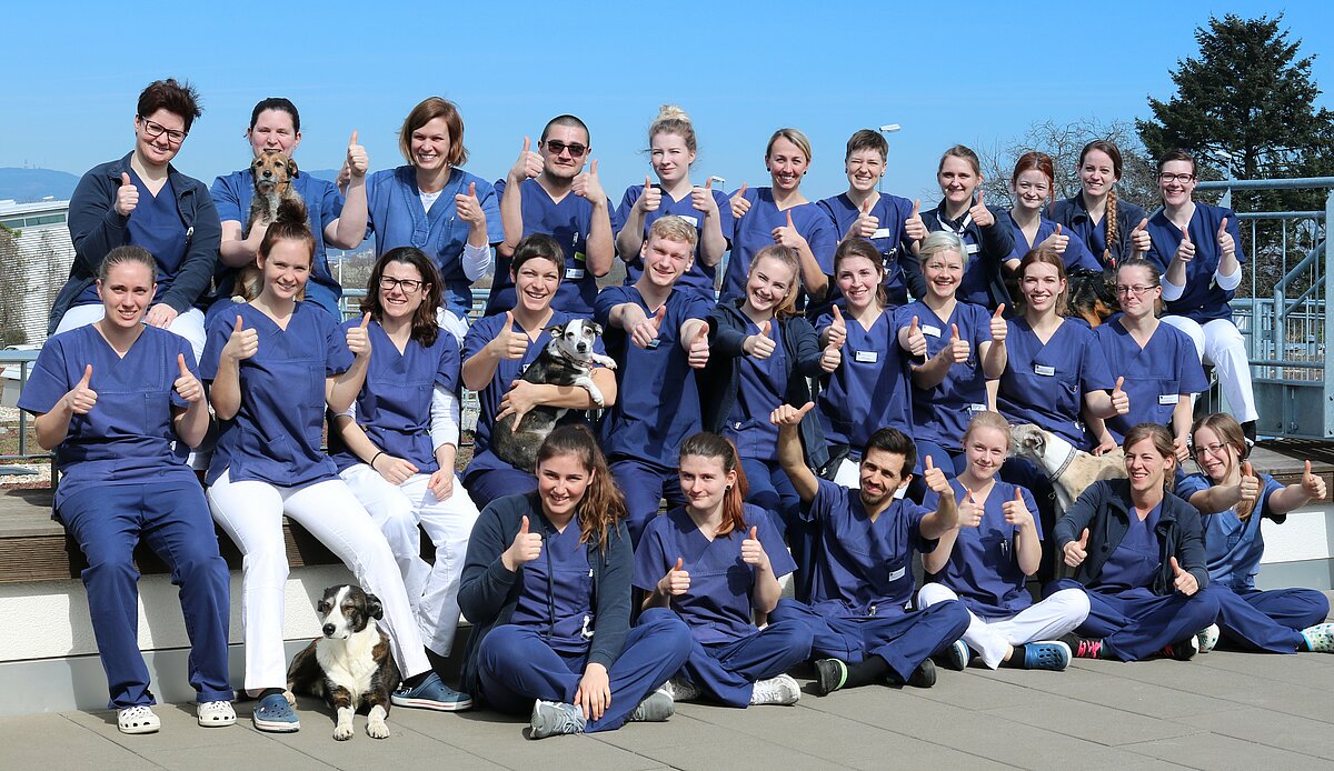 TFA der Tierklinik Hofheim Gruppenfoto TFA der Tierklinik Hofheim
