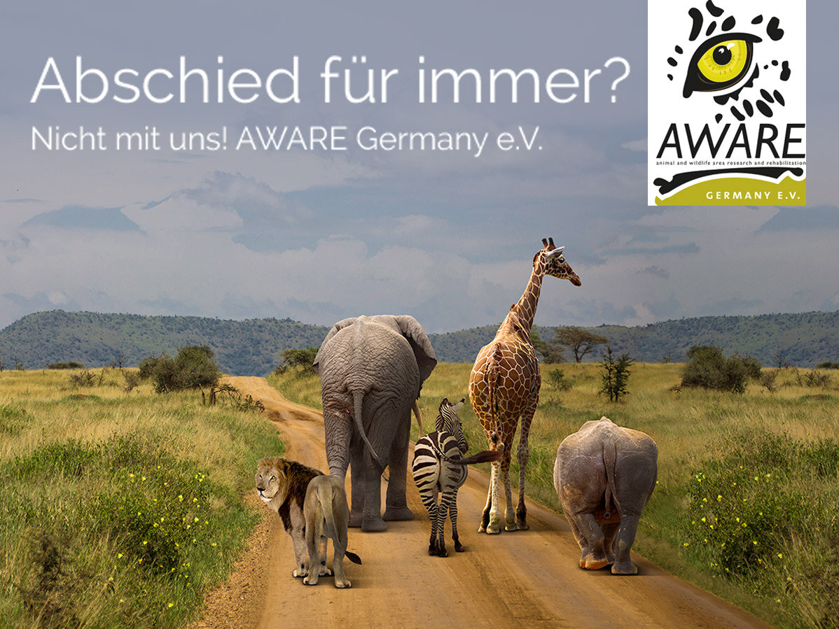 Dieses Bild zeigt das Logo und das Titelbild der Website von AWARE. Fünf afrikanische Wildtiere laufen vom Betrachter weg in die Savanne. Darüber steht der Schriftzug "Abschied für immer? - Nicht mit uns".
