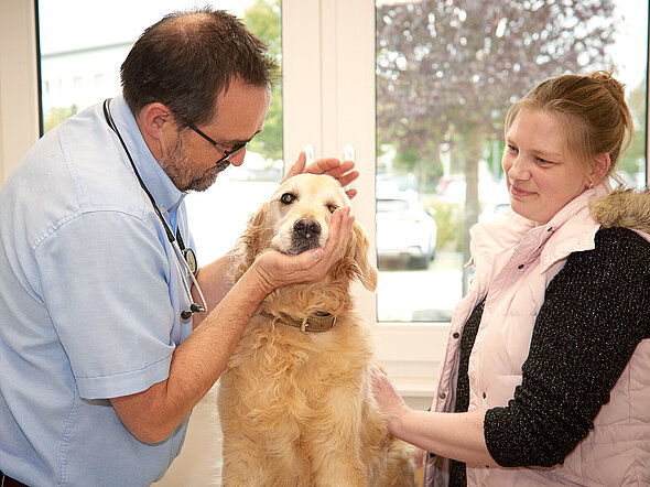 Dieses Bild zeigt Herrn Dr. Rupp und eine Tierbesitzerin, die auf beiden Seiten eines Golden Retrievers stehen, der auf dem Behandlungstisch sitzt. Dr. Rupp hält den Kopf des Hundes in der Hand, die Besitzerin schaut entspannt auf ihren Hund. 