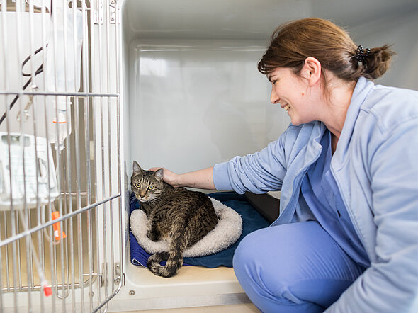 Auf der "Cat friendly Station"