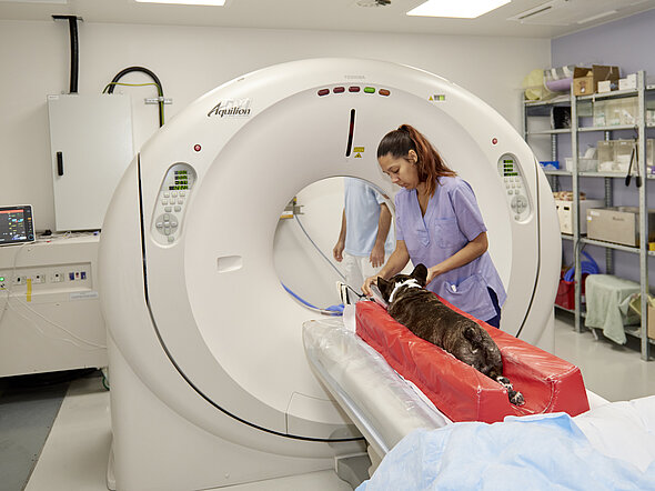 ... und CT als wichtige diagnostische Mittel