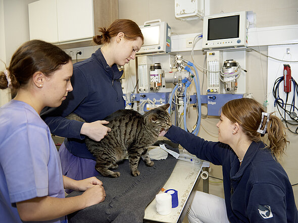 Das Notdienstteam steht immer bereit