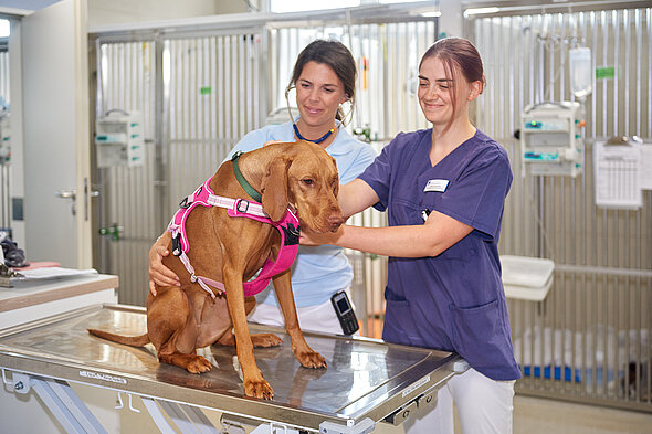 Morgendliche Untersuchung der Patienten