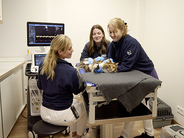 Im kardiologischen Untersuchungsraum