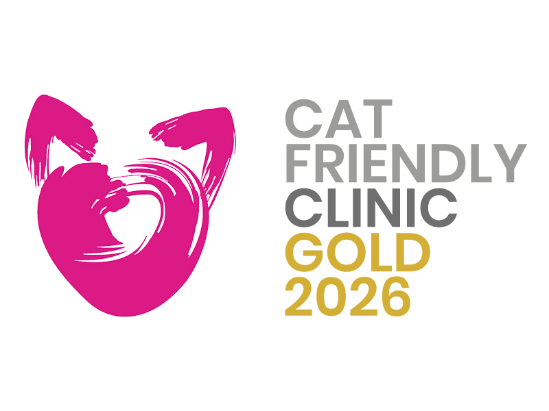 Die Tierklinik Hofheim ist seit 2017 zertifizierte "Cat Friendly Clinic"