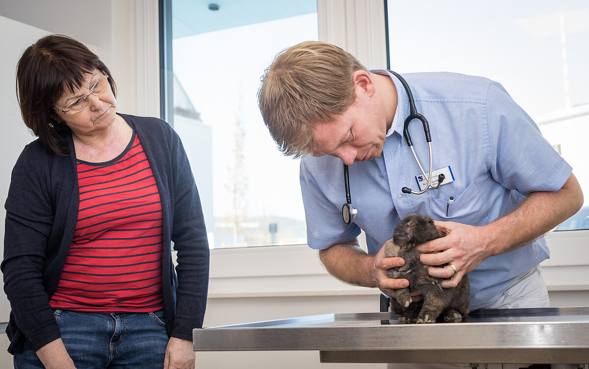 Ein Kaninchen in der Neurologie bei Dr. Thilo von Klopmann