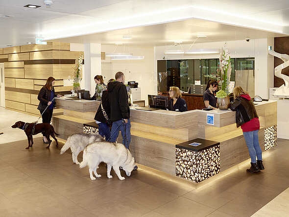 Auch abends und nachts herrscht an der Anmeldung Betrieb