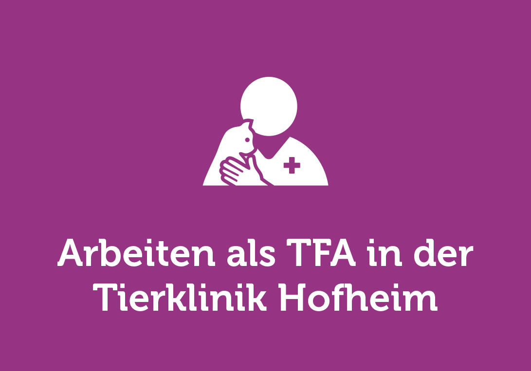 Arbeiten als TFA in der  Tierklinik Hofheim