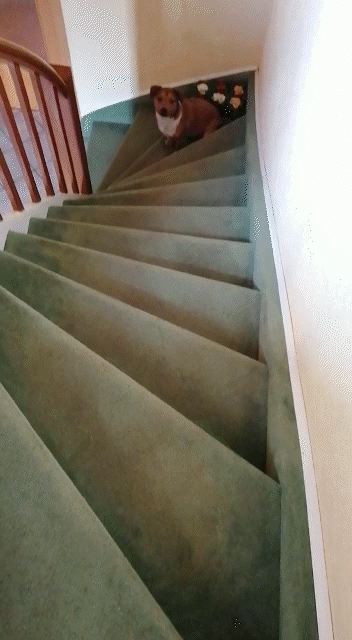 Treppen Aufsteigen